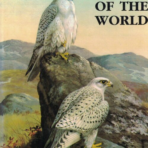 Eagles, Hawks & Falcons of the World